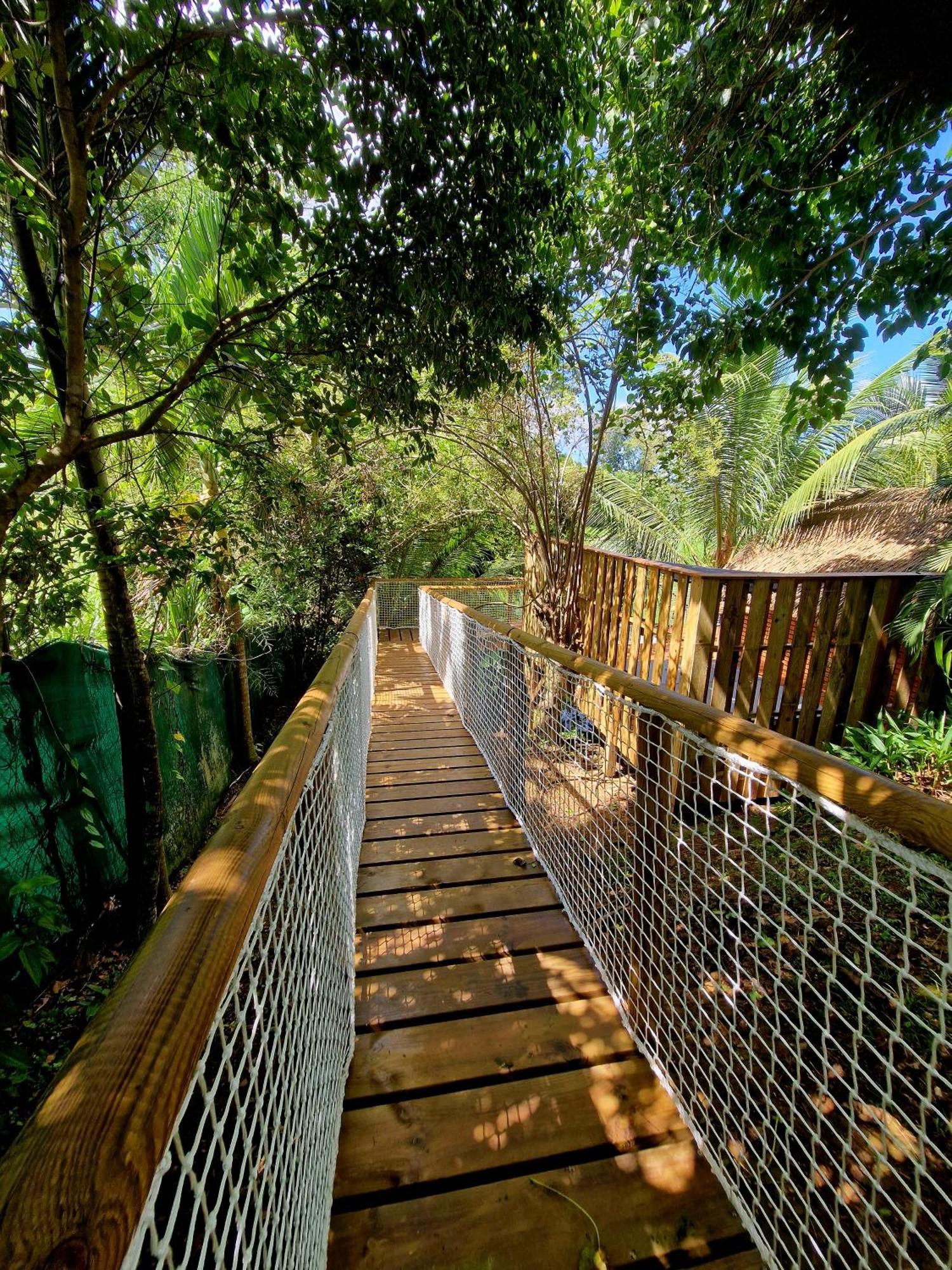 Pura Vida Lodge Cabane Perchee Sainte-Rose Exterior photo